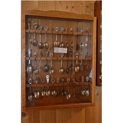 Lot of Collector Spoons (36) w/ Case