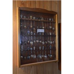 Lot of Collector Spoons (36) w/ Case