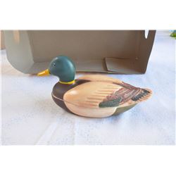 Mallard Duck on Nest