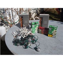 Misc LED Lights and Christmas Lights- some new