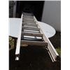 Image 3 : 9 ft Extension Ladder- missing string