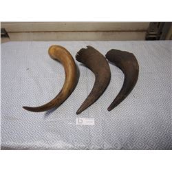 Horns (3)
