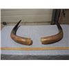 Image 1 : Horns (2)