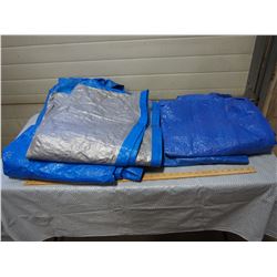 Plastic Tarps (4)
