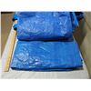 Image 2 : Plastic Tarps (4)