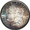 Image 1 : 1879-S S$1 MS67 NGC. Deep, mottled golden, rose, and b 1879-S[img border='0' src='http://www.heritag