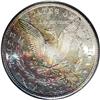 Image 2 : 1881-S S$1 MS66 PCGS. Alternating streaks of champagne 1881-S[img border='0' src='http://www.heritag