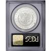 Image 2 : 1891-CC S$1 MS63 PCGS. VAM-3. A Top 100 Variety. Lustr 1891-CC[img border='0' src='http://www.herita