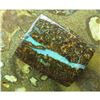 Image 3 : 46cts Boulder Opal