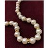 Image 2 : White Akoya Shell Pearl Necklace 49 Pearls