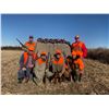 Image 5 : 2 day/2 night Pheasant Hunt