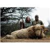 Image 4 : 7 Day Argentinian Hunt for 2 Hunter –    TX Dall Ram, Wild Boar & Hybrid Sheep