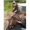 Image 4 : Florida Hog Hunt by Larry Shores