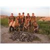 Image 3 : Argentina Dove Hunt for 4 to 12 Hunters, 4 Days 3 Nights
