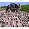 Image 9 : Argentina Dove Hunt for 4 to 12 Hunters, 4 Days 3 Nights