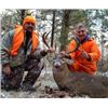 Image 1 : Missouri Whitetail Archery/Crossbow/Muzzleloader    Hunt for 2 Hunters, 6 Days 5 Nights