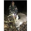 Image 7 : Missouri Whitetail Archery/Crossbow/Muzzleloader    Hunt for 2 Hunters, 6 Days 5 Nights
