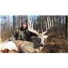 Image 3 : Five Star Ohio Whitetail Hunt for 2 Hunters