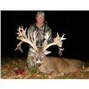 Image 5 : Five Star Ohio Whitetail Hunt for 2 Hunters