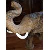 Image 16 : Hand Carved African Elephant, African Ironwood