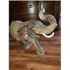 Image 18 : Hand Carved African Elephant, African Ironwood