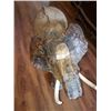Image 2 : Hand Carved African Elephant, African Ironwood
