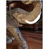 Image 3 : Hand Carved African Elephant, African Ironwood