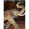 Image 4 : Hand Carved African Elephant, African Ironwood