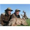 Image 4 : ROE DEER IN SERBIA HUNT for 2 hunters or 1 hunter and 1 observer