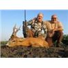 Image 6 : ROE DEER IN SERBIA HUNT for 2 hunters or 1 hunter and 1 observer