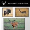 Image 2 : 8 Day rifle hunt for 1 to 4 hunters. Southern Cross Safaris, South Africa
