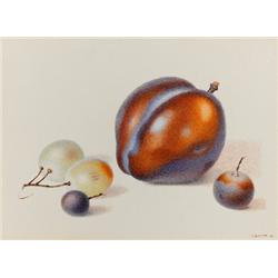 Shmuel Haruvi, Watercolor