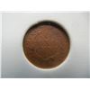 Image 2 : 1880 Indian Head Cent