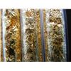 Image 2 : (4) Vials of Leaf Flakes, Can Be Sold Individually, Or Would Make Great Gifts!
