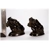 Image 8 : A pair of bronze lions.