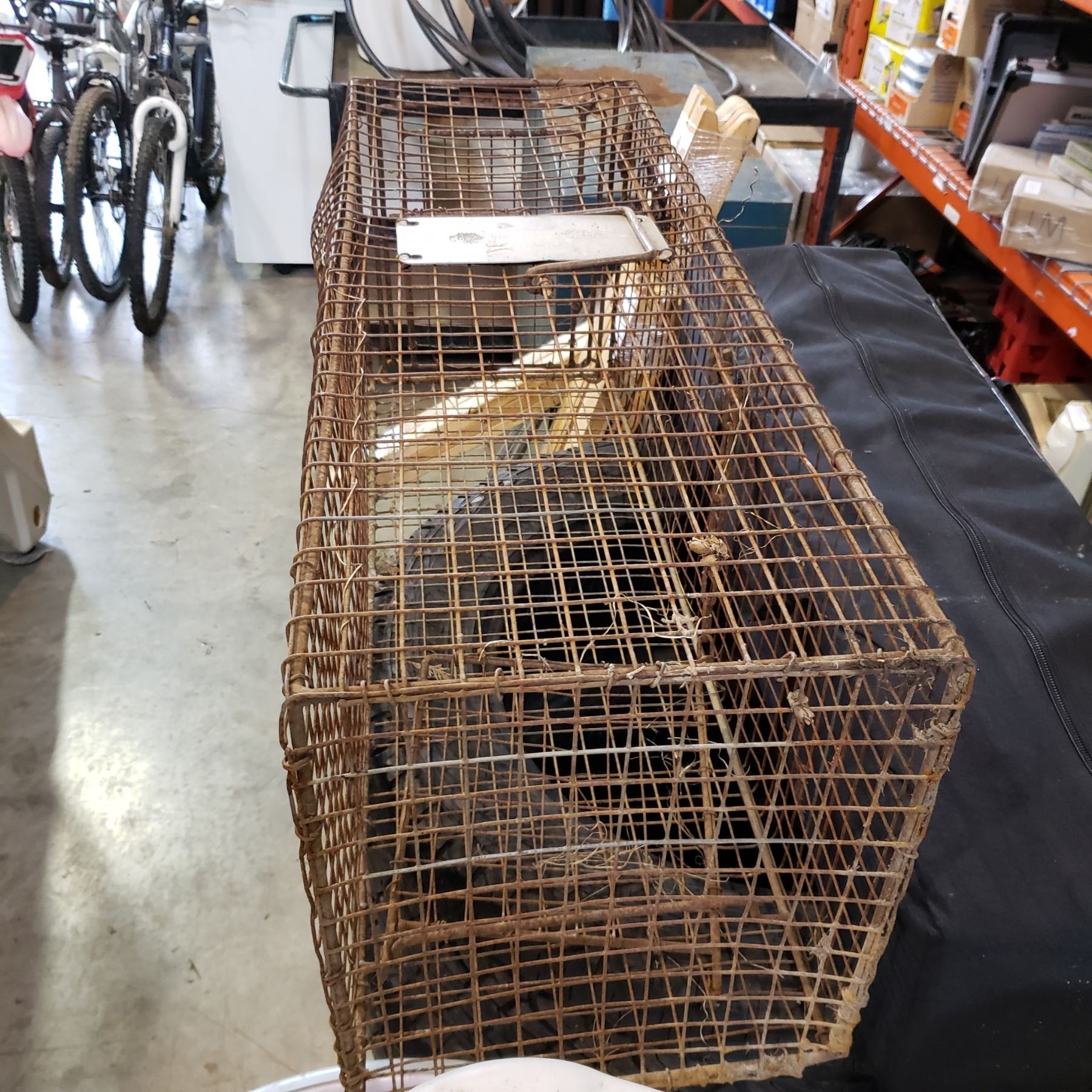 EXTRA LARGE LIVE TRAP Big Valley Auction