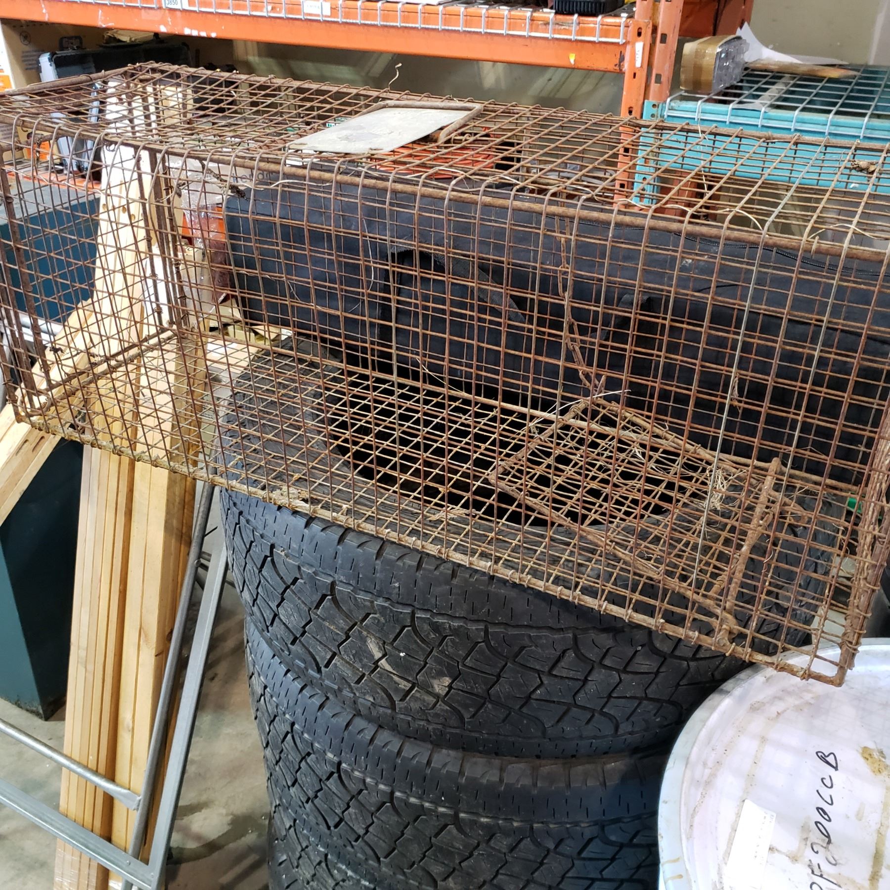 EXTRA LARGE LIVE TRAP Big Valley Auction Extra large live trap big valley auction