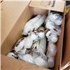 Image 2 : BOX OF 5 OUNCE PLASTIC COLD CUPS AND 3 1/4 OUNCE PLASTIC SOUFFE CUPS