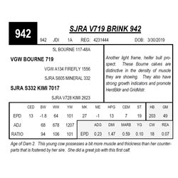 SJRA V719 BRINK 942