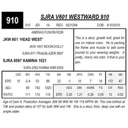 SJRA V601 WESTWARD 910