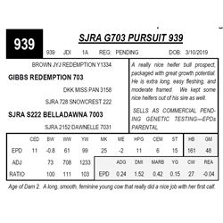 SJRA G703 PURSUIT 939