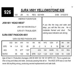 SJRA V601 YELLOWSTONE 926