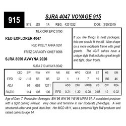 SJRA 4047 VOYAGE 915