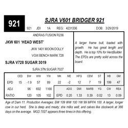 SJRA V601 BRIDGER 921