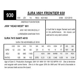 SJRA V601 FRONTIER 930