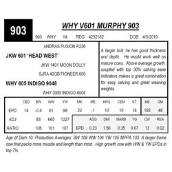 WHY V601 MURPHY 903