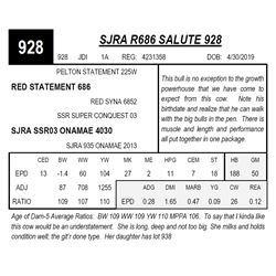 SJRA R686 SALUTE 928