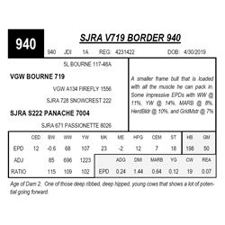 SJRA V719 BORDER 940