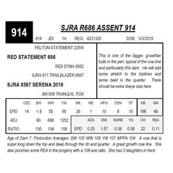 SJRA R686 ASSENT 914