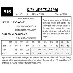 SJRA V601 TEJAS 916